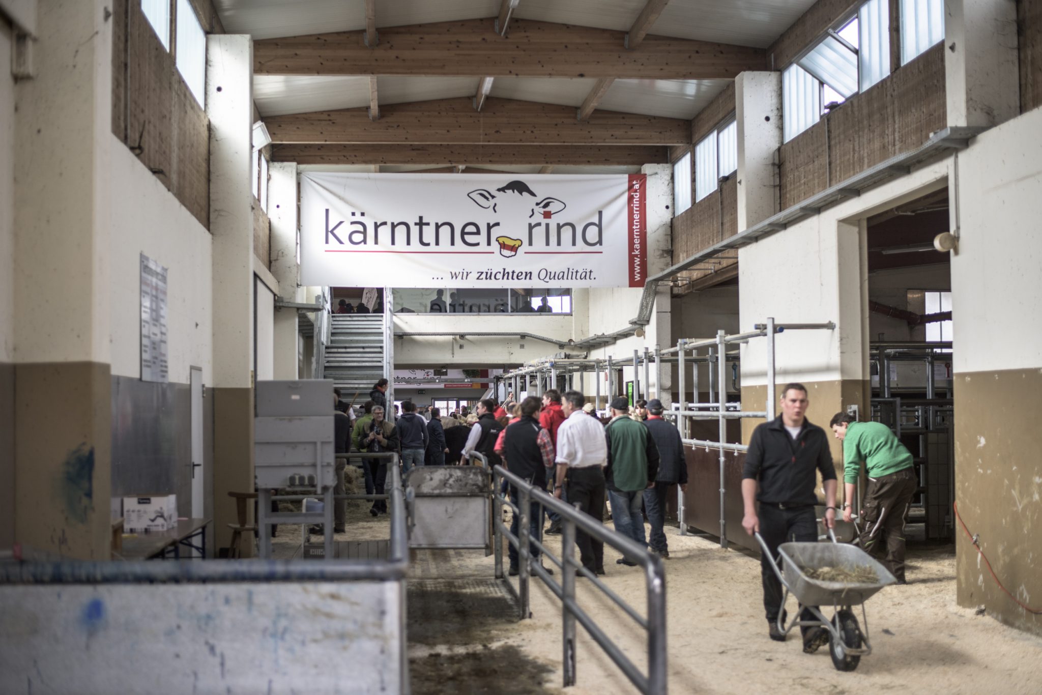 Read more about the article 12. Kärtner Fleischrinder Messe