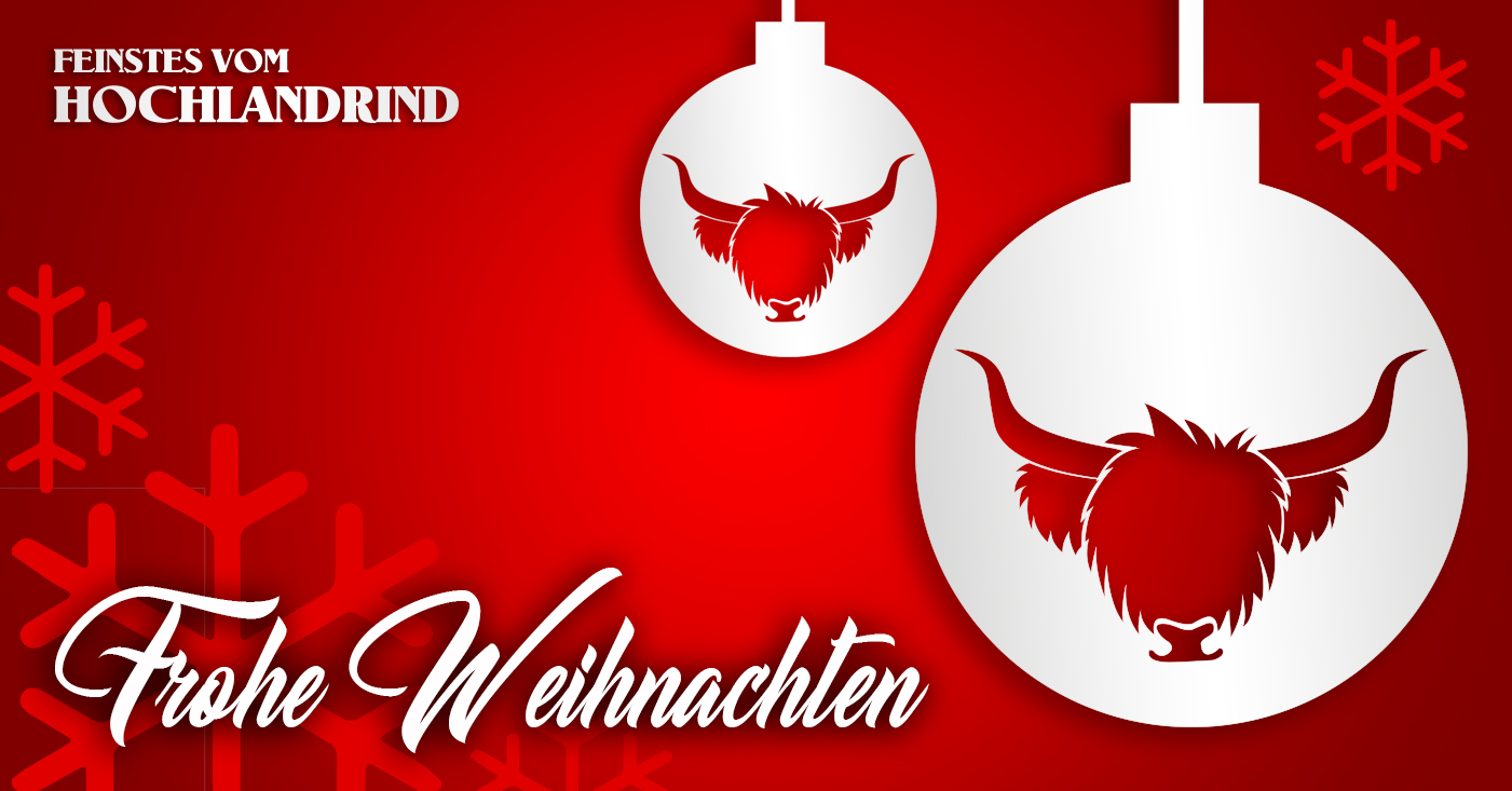 Read more about the article Frohe Weihnachten!